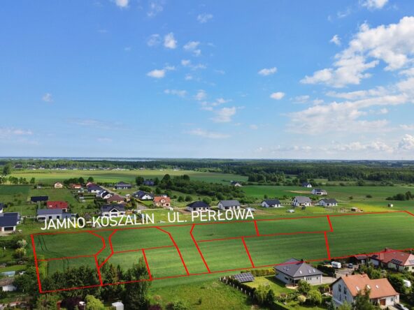 Perłowa4