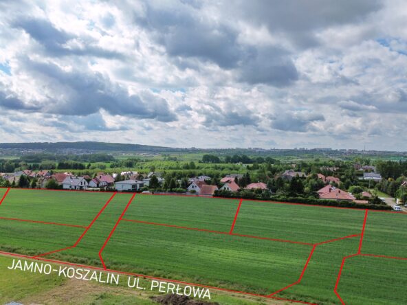 Perłowa5